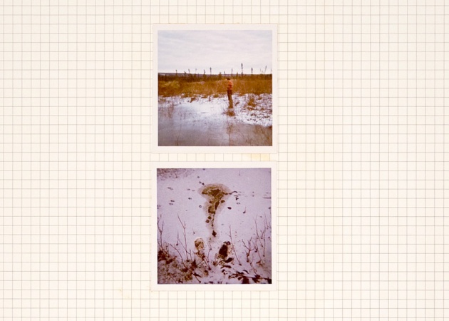 N.E. Thing Co., Territorial Claim â€” Urination, 1969